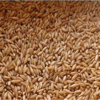 மூங்கில் அரிசி-Bambu Rice மூங்கில் அரிசி-Bambu Rice
