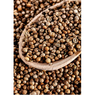 கொத்தமல்லி-Coriander seeds