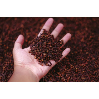 Clove-கிராம்பு