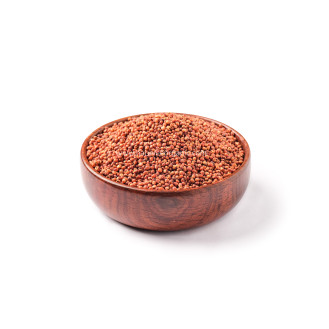 சிவப்பு சோளம்-Red Sorghum சிவப்பு சோளம்-Red Sorghum