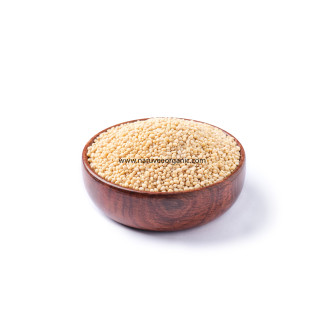 வெள்ளை உளுந்து- Whole White Urad Dal வெள்ளை உளுந்து- Whole White Urad Dal