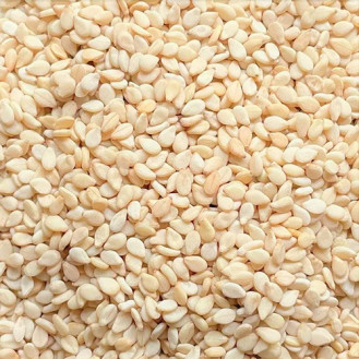 White- Sesame White- Sesame
